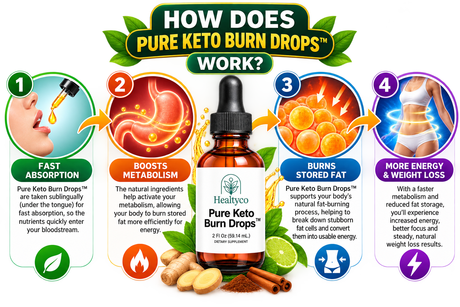How Pure Keto Burn Drops work, an infographic